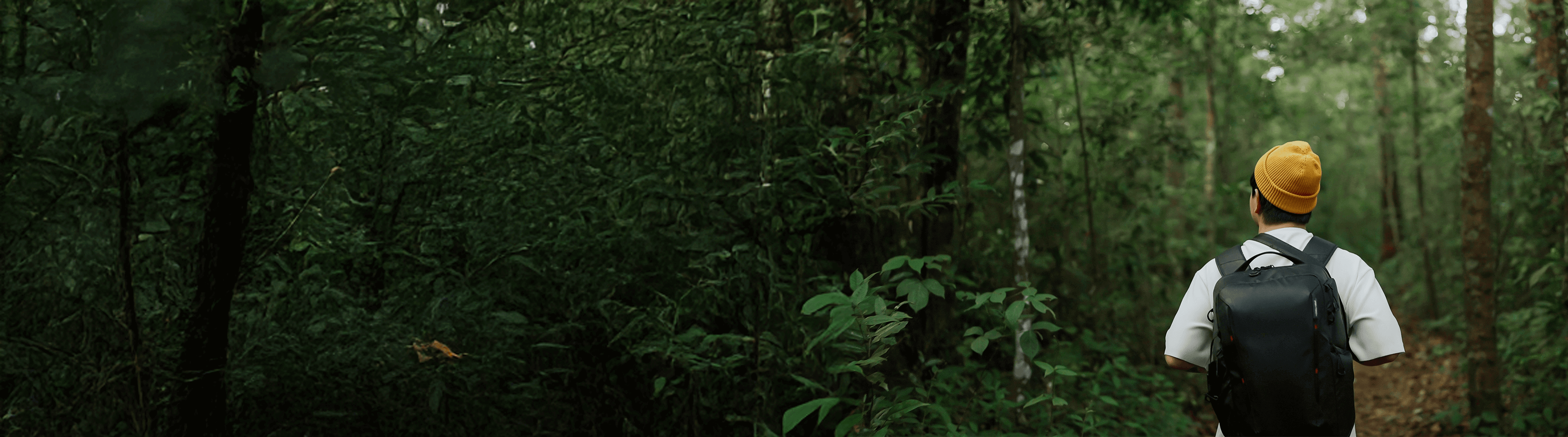 Landing page image